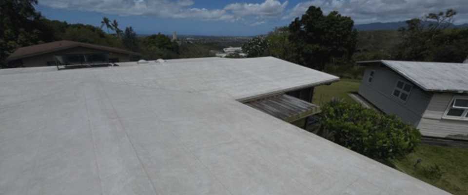 image of home roof cleaned by Pacific Spray Wash